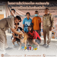 โครงการสัตว์ปลอดโรค คนปลอดภัยรณรงค์ป้องกันโรคพิษสุนัขบ้าเทศบาลเมืองบุรีรัมย์ ปี 2566