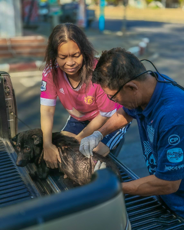 628084070_1282314230594343_283972571870639313_n.jpg - 383.05 kB