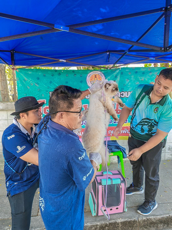 628469521_1282314393927660_4891884474214445929_n.jpg - 588.81 kB