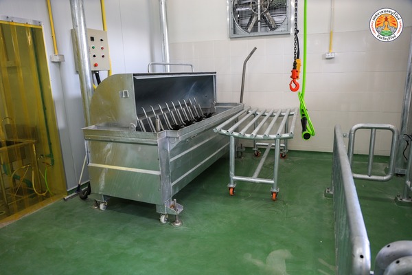 631263270_1287392810086485_9170651386495260505_n.jpg - 61.81 kB