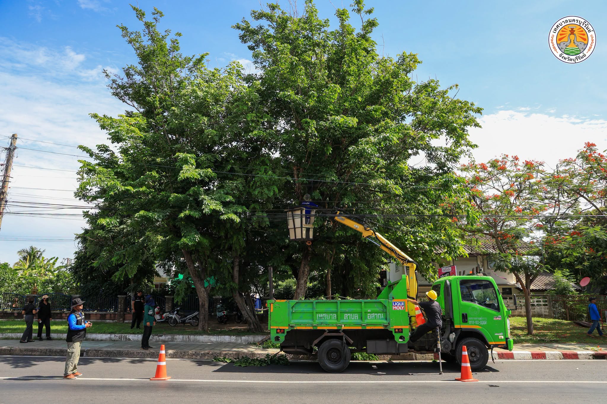 ลงพื้นที่ดำเนินการตัดต้นไม้ที่ขึ้นปกคลุมสายสื่อสาร ช่วงแยกต้นสัก – หน้าที่ว่าการอำเภอ